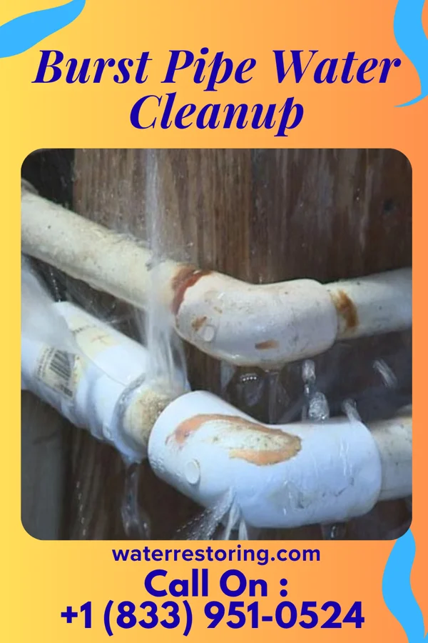 Burst Pipe Water Cleanup in Pavillion, WY
